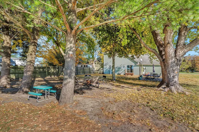 a view of a yard with a tree