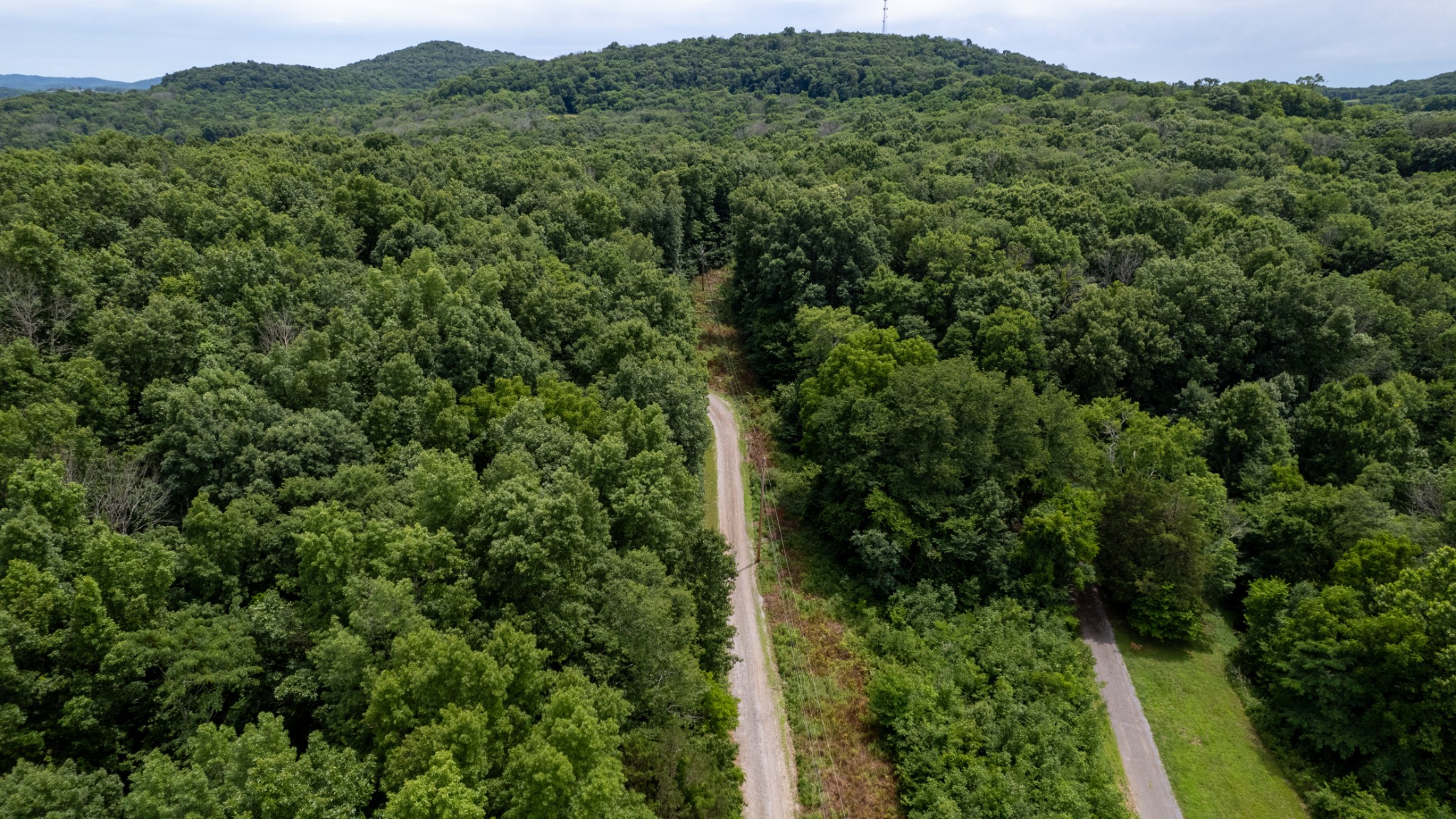 3398 Poplar Hill Road Watertown, TN 37184 - Photo 58 of 62