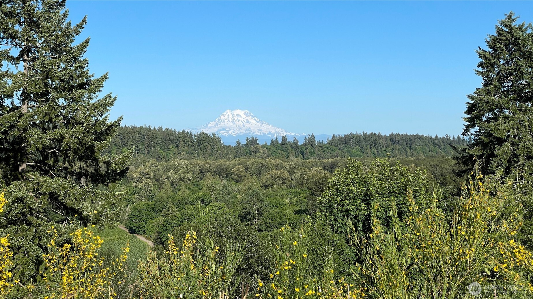 1546 Reservation Road Southeast, Unit 149 Olympia, WA 98513 - Photo 35 of 38 a view of a green field