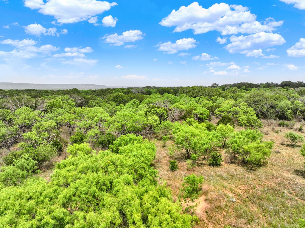 0 Langes Mill Road Doss, TX 78618 - Photo 6 of 15 Gallery Image 6