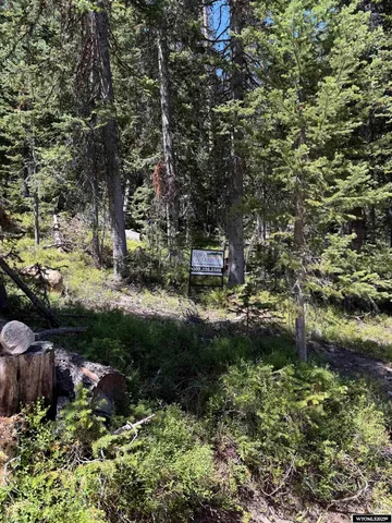 $45,000 | 49 Overlook Retreat, Rock River, WY 82083