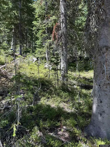 $45,000 | 49 Overlook Retreat, Rock River, WY 82083