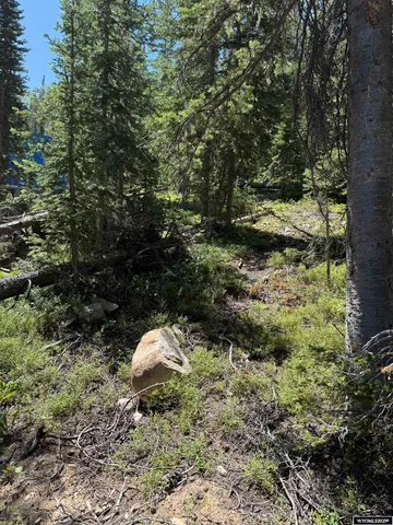 $45,000 | 49 Overlook Retreat, Rock River, WY 82083