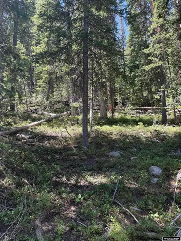 $45,000 | 49 Overlook Retreat, Rock River, WY 82083