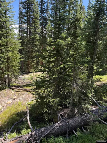 $45,000 | 49 Overlook Retreat, Rock River, WY 82083