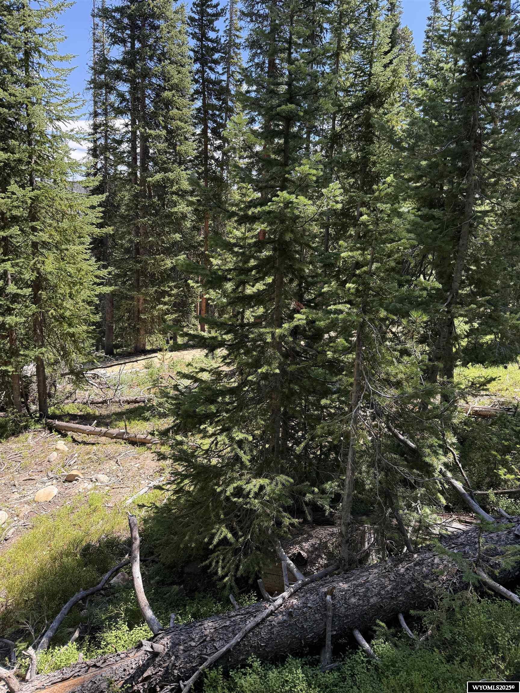 49 Overlook Retreat Rock River, WY 82083 - Photo 6 of 9