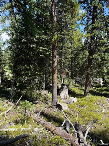 $45,000 | 49 Overlook Retreat, Rock River, WY 82083