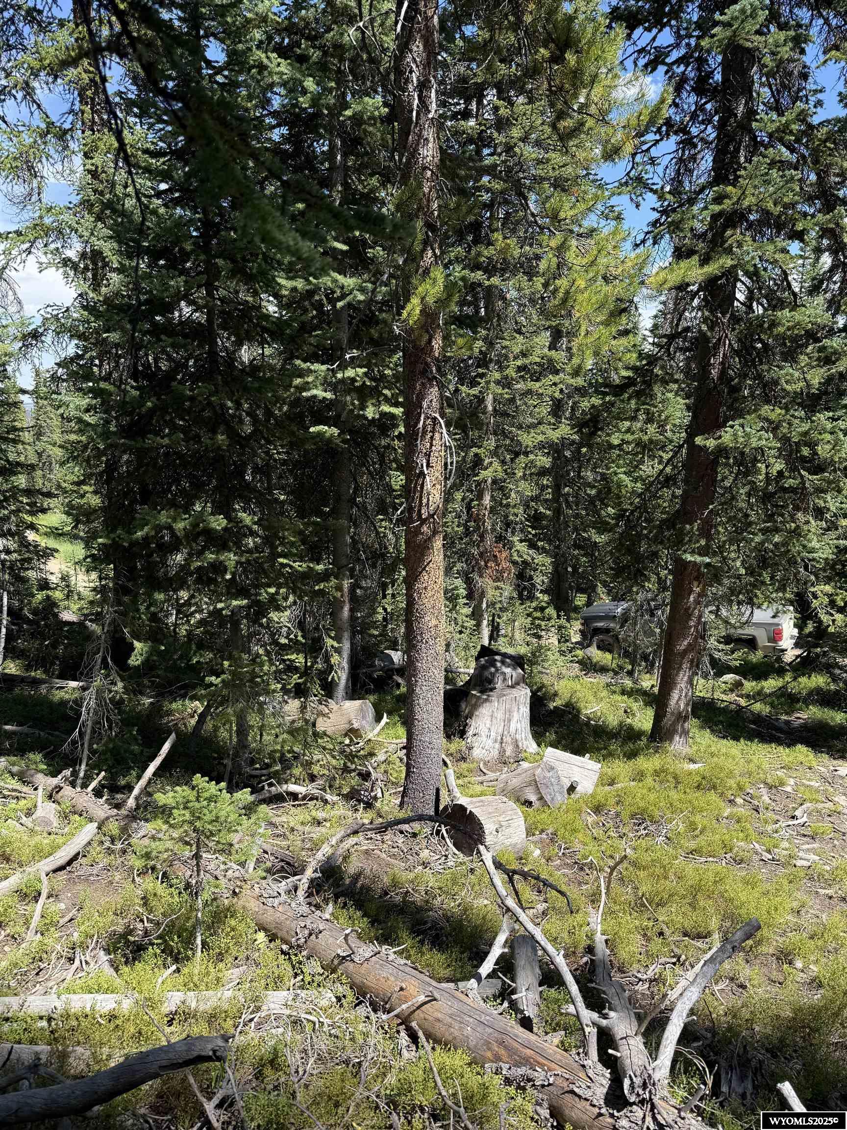 49 Overlook Retreat Rock River, WY 82083 - Photo 7 of 9