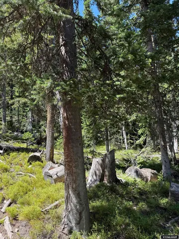 $45,000 | 49 Overlook Retreat, Rock River, WY 82083