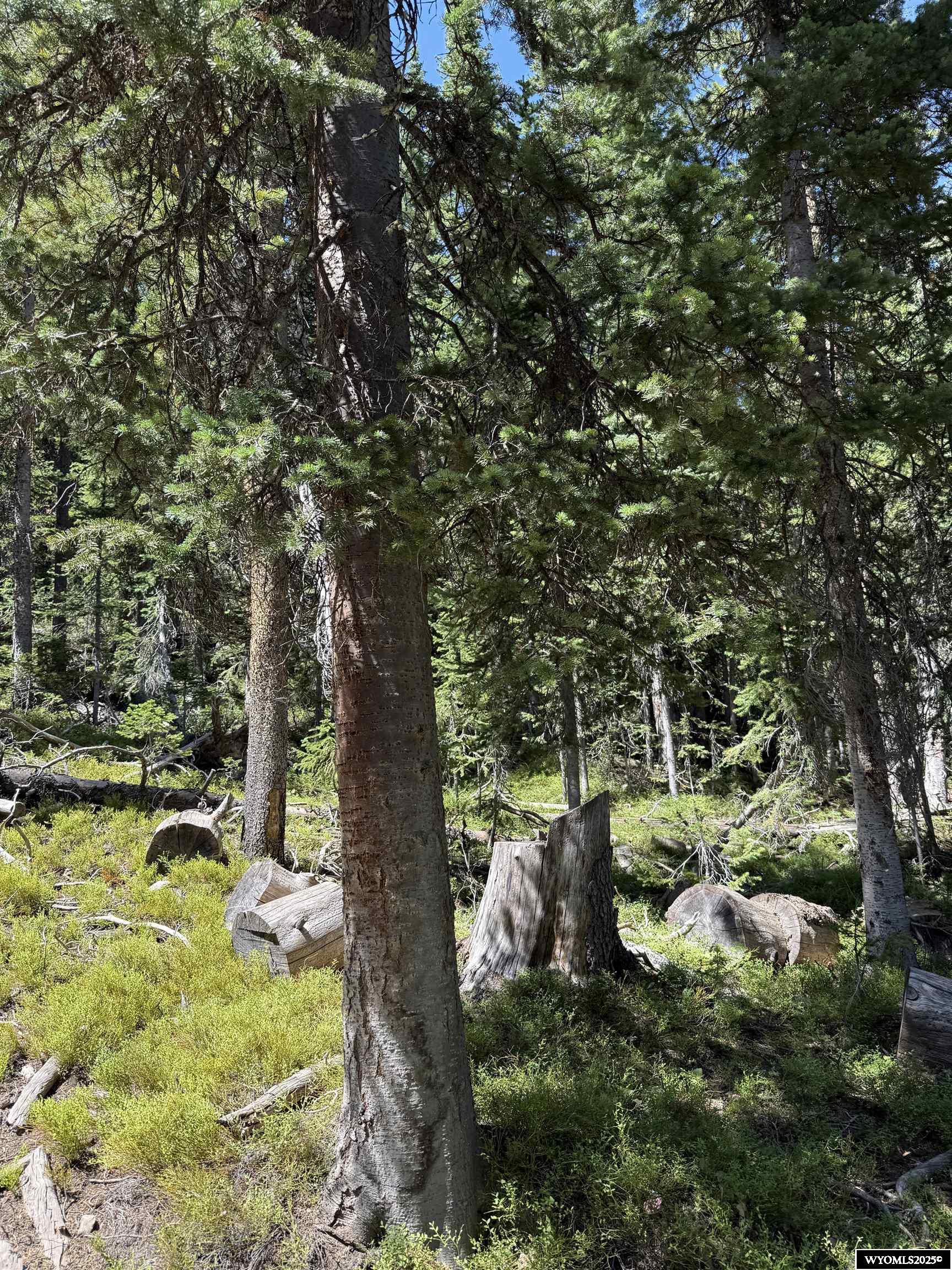 49 Overlook Retreat Rock River, WY 82083 - Photo 8 of 9