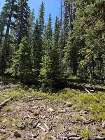 $45,000 | 49 Overlook Retreat, Rock River, WY 82083