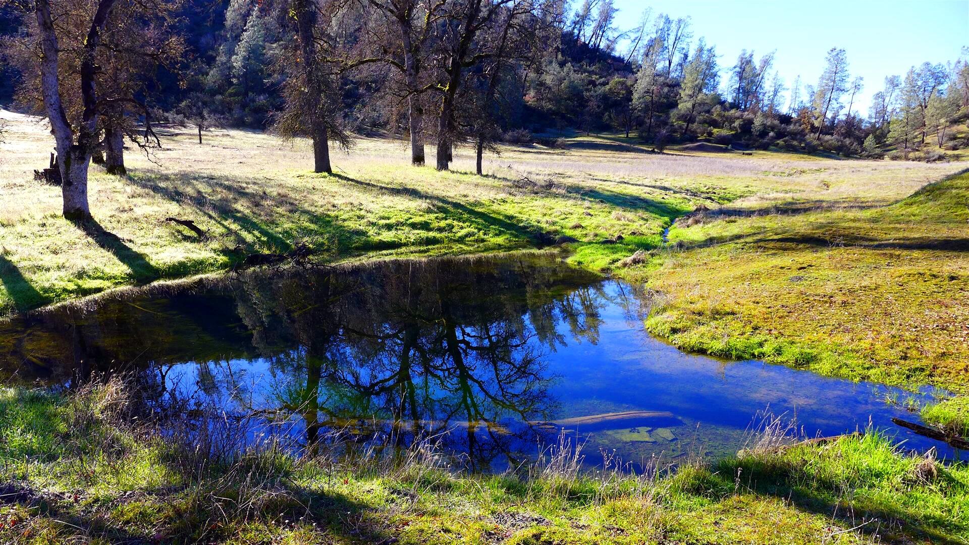 Lot 103 Platina Road Igo, CA 96047 - Photo 1 of 24 Property
