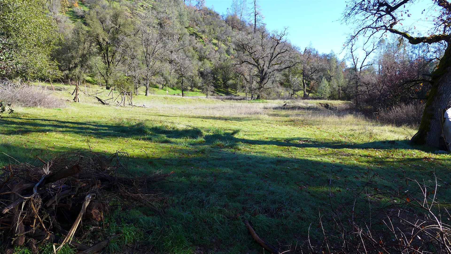 Lot 103 Platina Road Igo, CA 96047 - Photo 11 of 24 P1070187