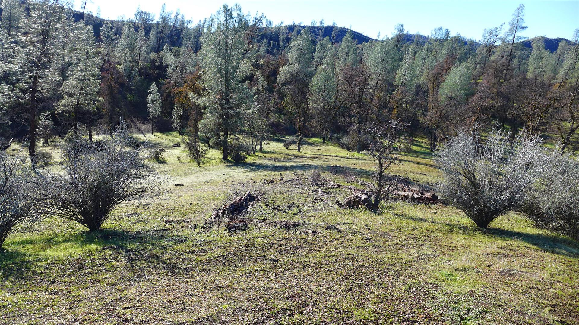 Lot 103 Platina Road Igo, CA 96047 - Photo 13 of 24 P1070192