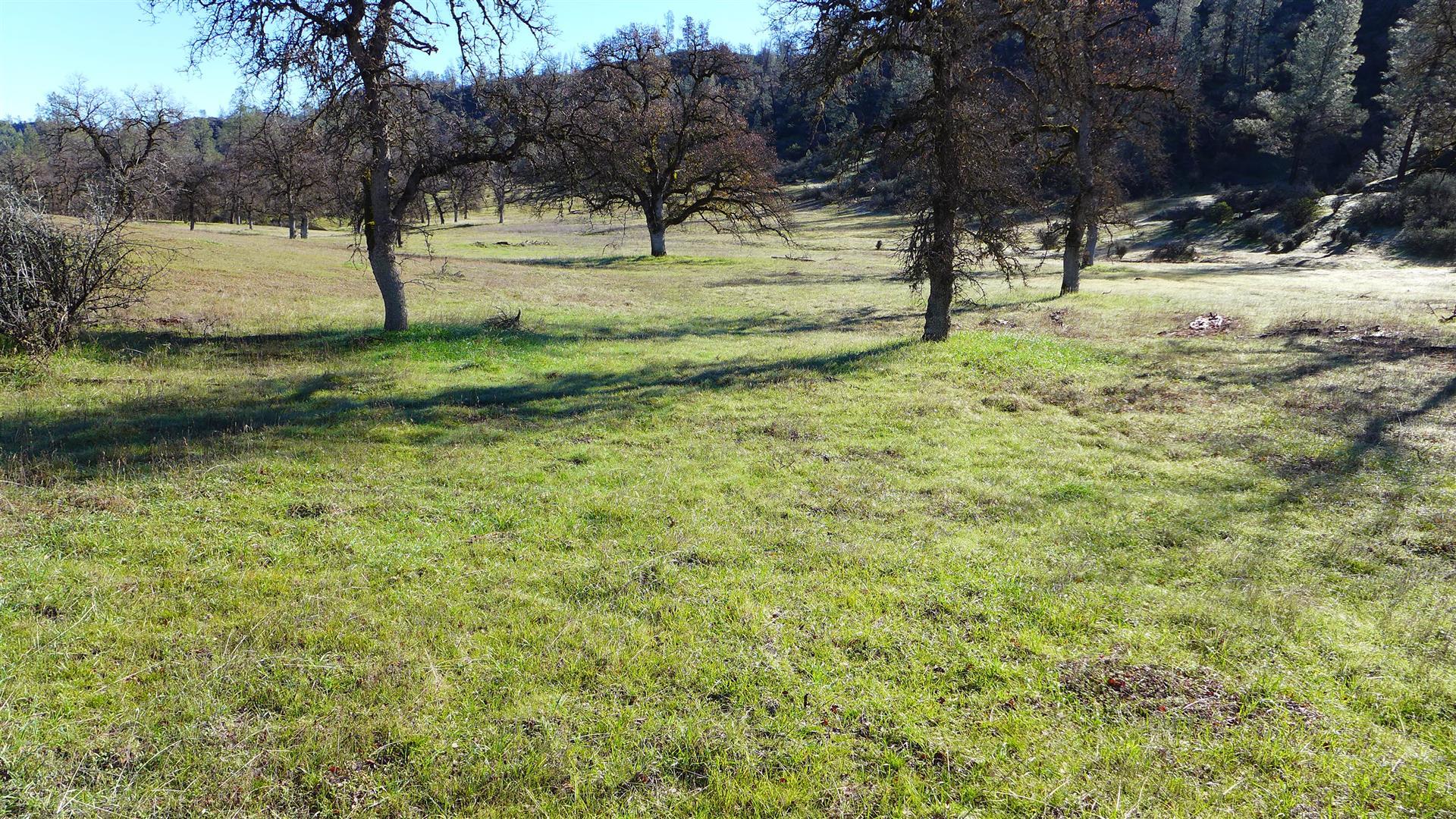 Lot 103 Platina Road Igo, CA 96047 - Photo 14 of 24 P1070193