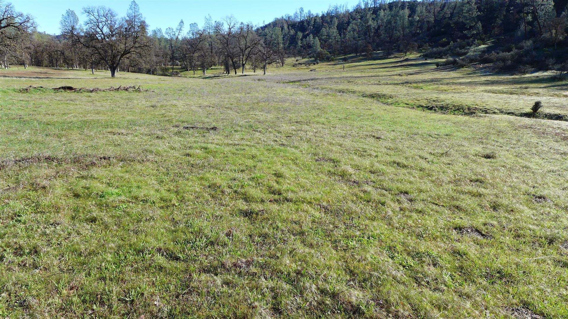 Lot 103 Platina Road Igo, CA 96047 - Photo 15 of 24 P1070194