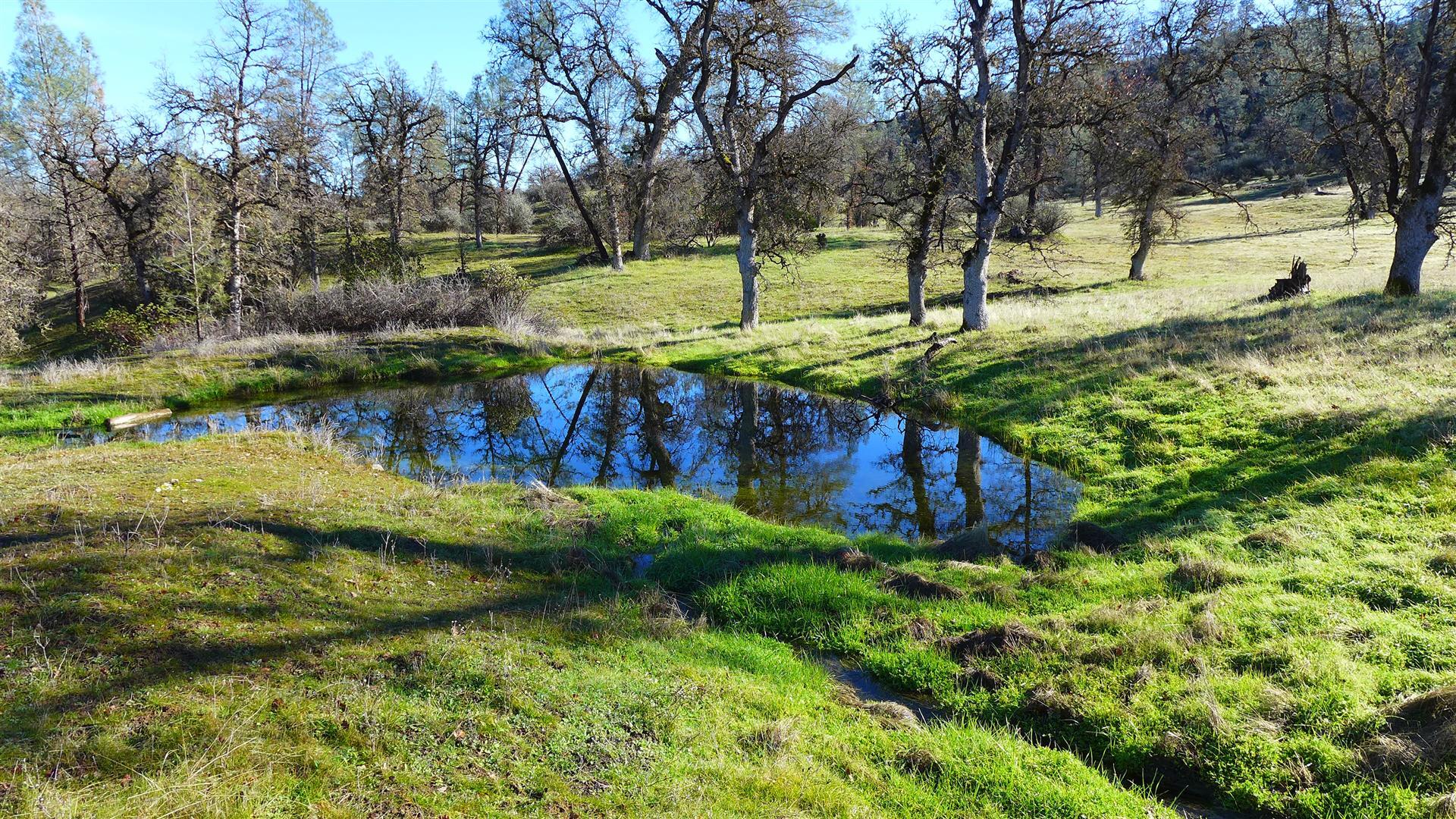Lot 103 Platina Road Igo, CA 96047 - Photo 16 of 24 P1070196