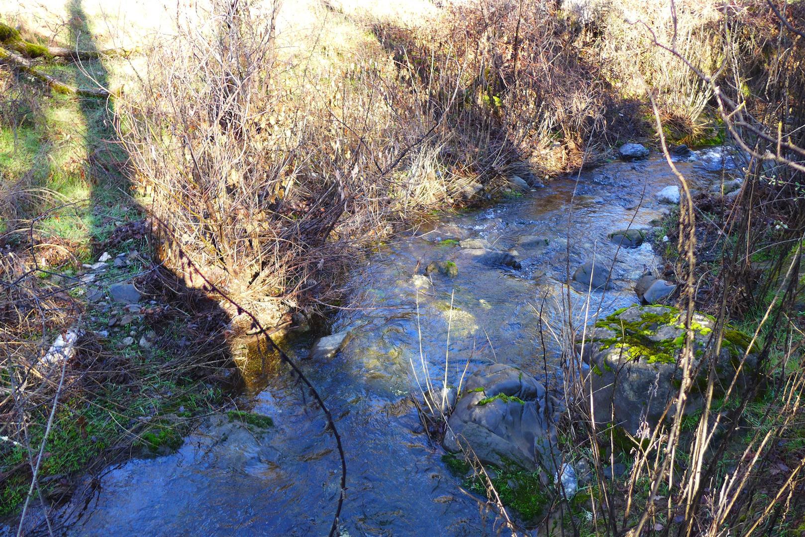 Lot 103 Platina Road Igo, CA 96047 - Photo 18 of 24 P1070199