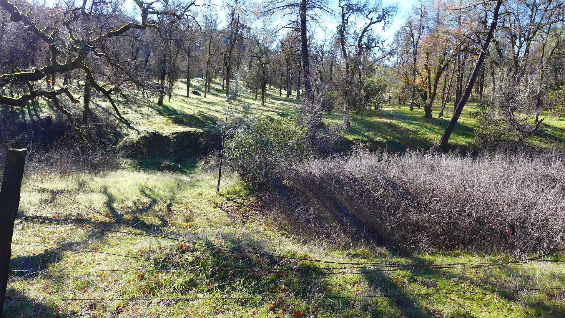 Lot 103 Platina Road Igo, CA 96047 - Photo 19 of 24 P1070200