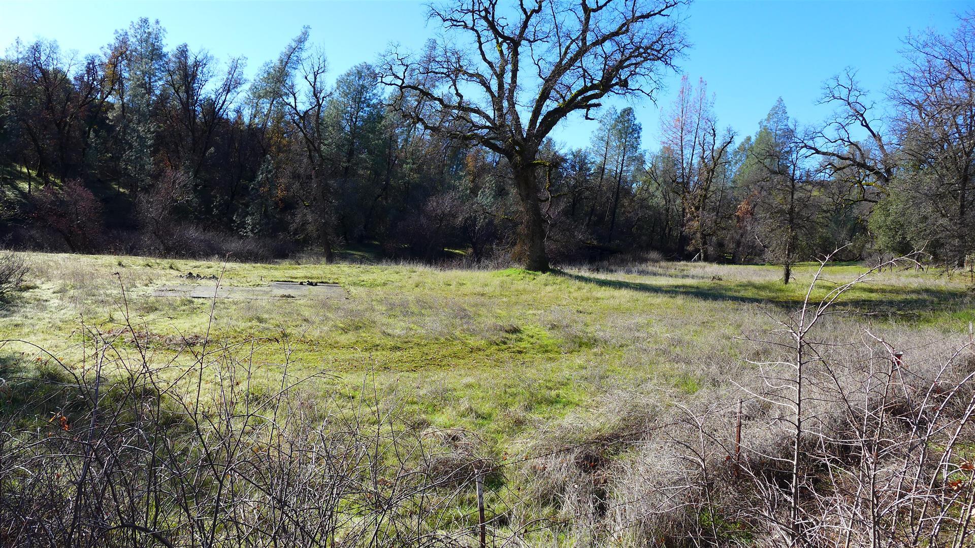 Lot 103 Platina Road Igo, CA 96047 - Photo 20 of 24 P1070201