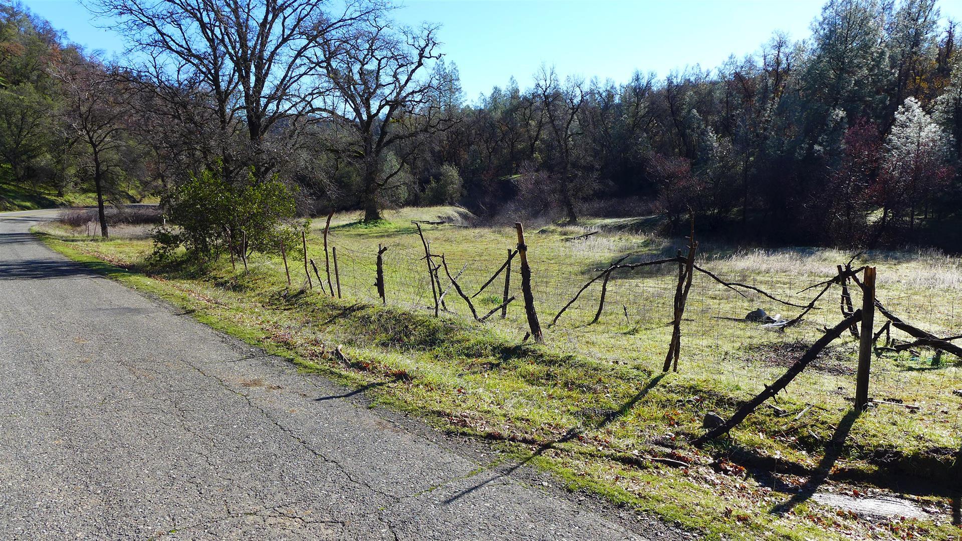 Lot 103 Platina Road Igo, CA 96047 - Photo 6 of 24 P1070179
