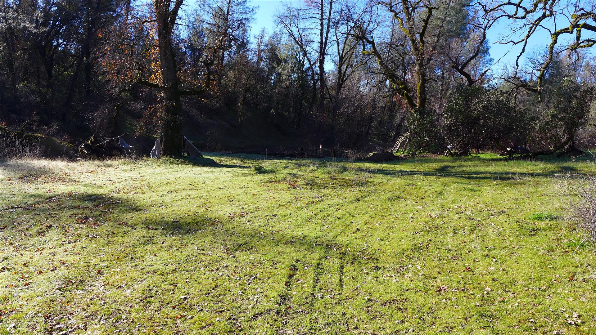 Lot 103 Platina Road Igo, CA 96047 - Photo 8 of 24 P1070181