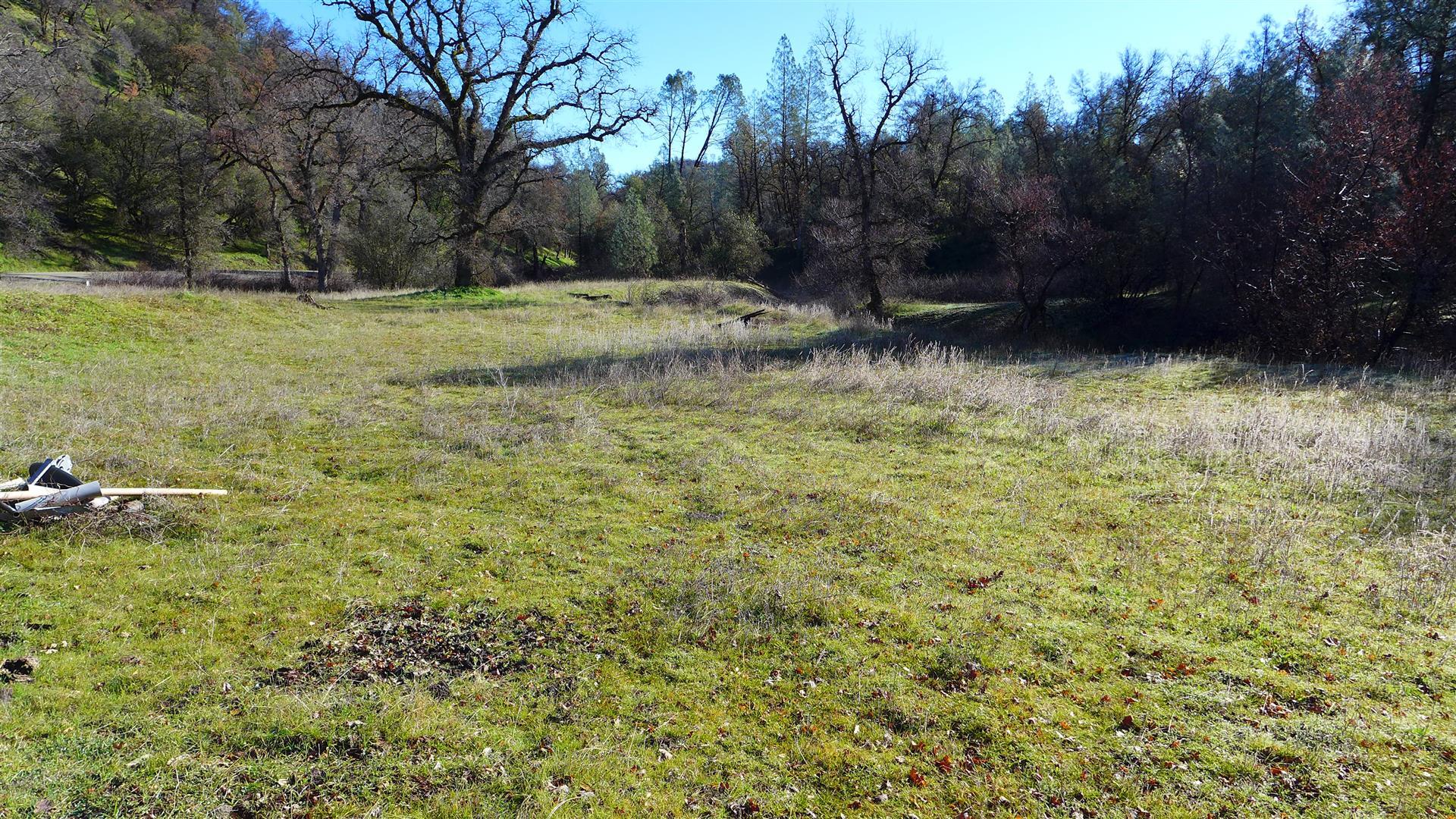 Lot 103 Platina Road Igo, CA 96047 - Photo 9 of 24 P1070182