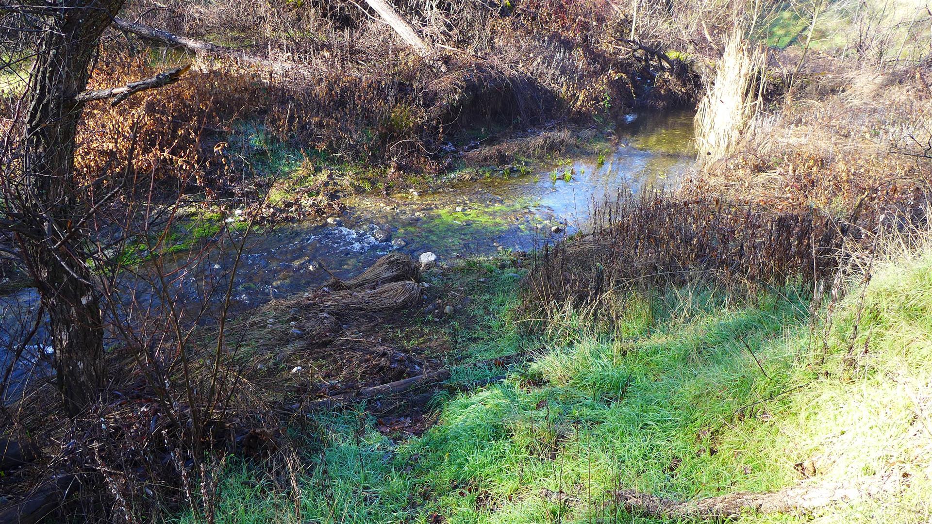 Lot 103 Platina Road Igo, CA 96047 - Photo 10 of 24 P1070186