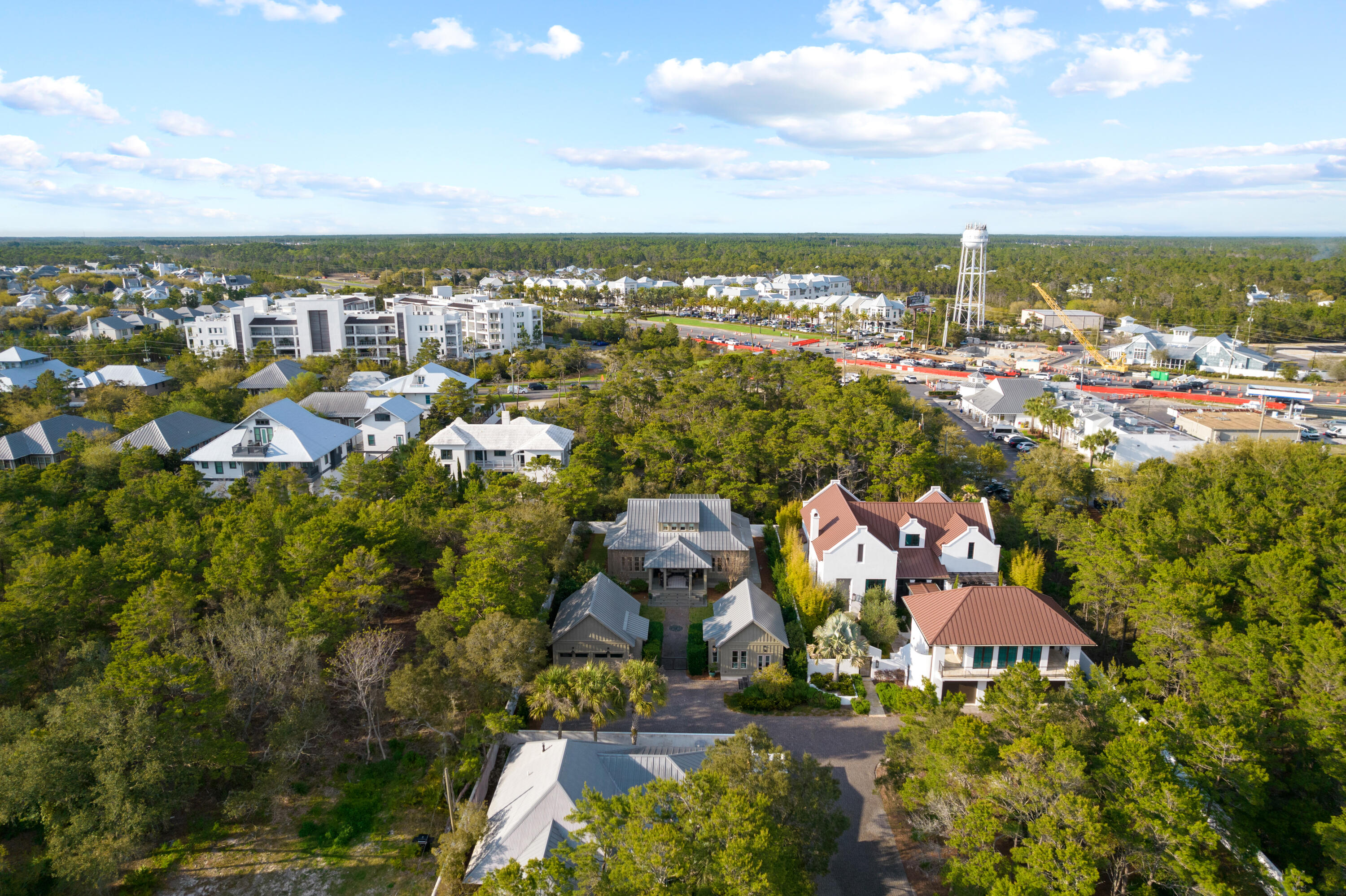 296 Walton Rose Lane Inlet Beach, FL 32461 - Photo 65 of 77 296WaltonRoseLn