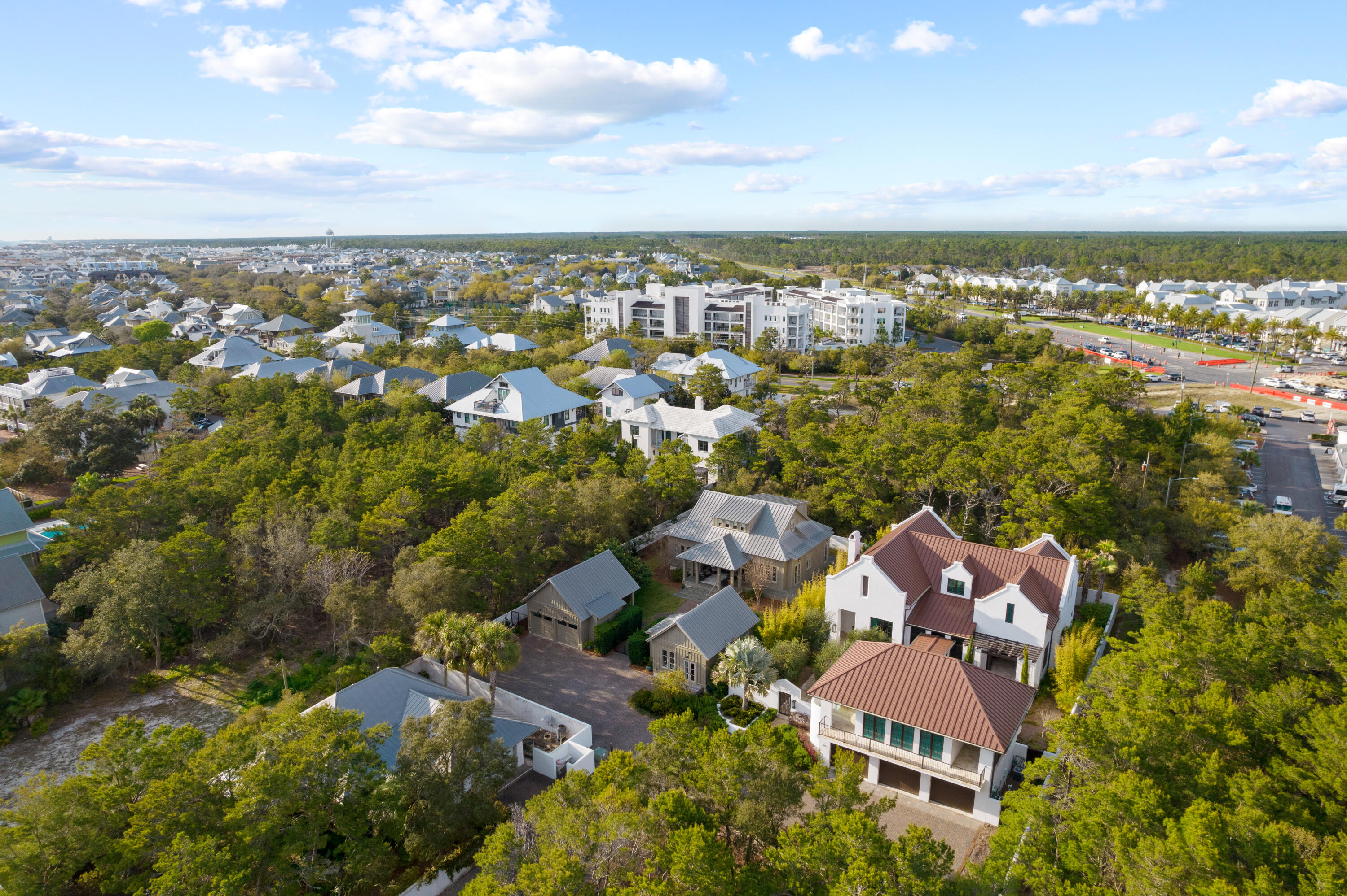 296 Walton Rose Lane Inlet Beach, FL 32461 - Photo 66 of 77 296WaltonRoseLn