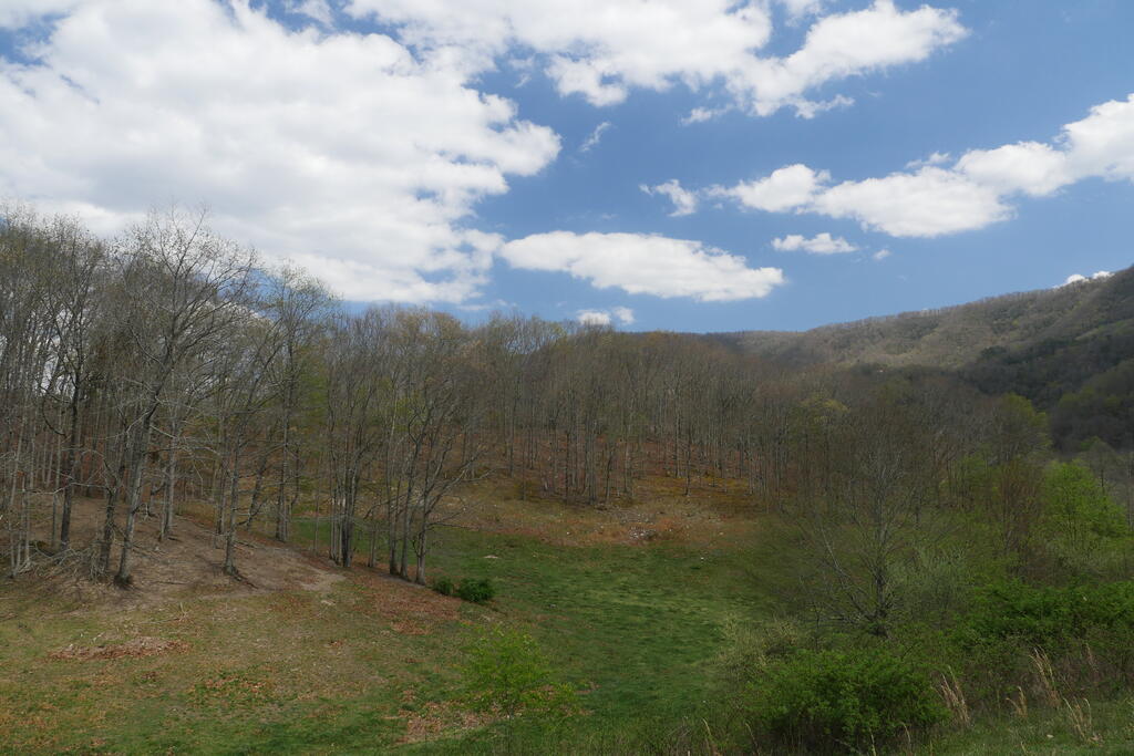 4020 Freestone Valley Road Tannersville, VA 24377 - Photo 106 of 109 Gallery Image 106