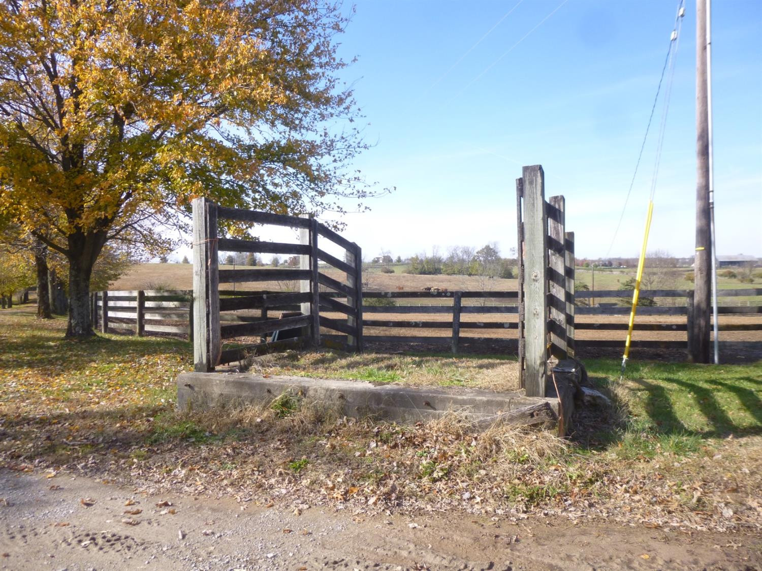 1695 Bethlehem Road Paris, KY 40361 - Photo 7 of 15 Photo 7