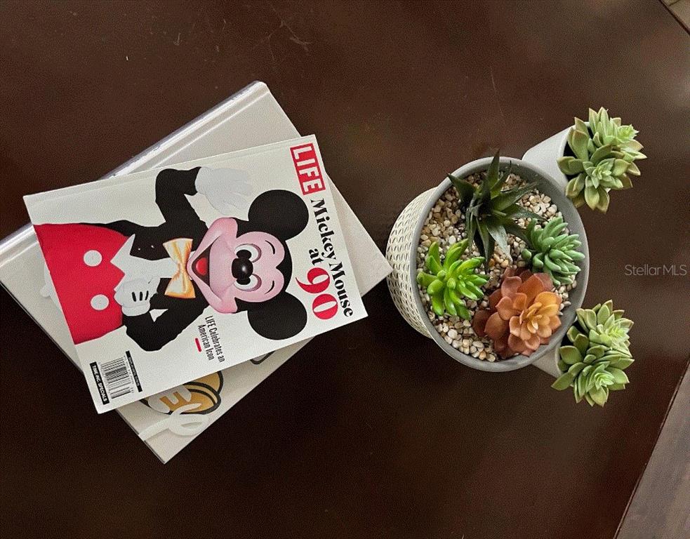 7609 Excitement Drive Reunion, FL 34747 - Photo 7 of 64