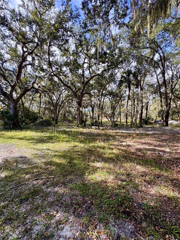 0 Clinton Cemetery Road Edgewater, FL 32141 - Photo 25 of 32