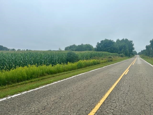 10000 West Vernon Road Lake, MI 48632 - Photo 1 of 8