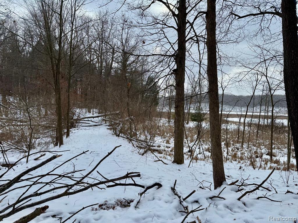 0 Lasher Road Dryden, MI 48428 - Photo 16 of 16