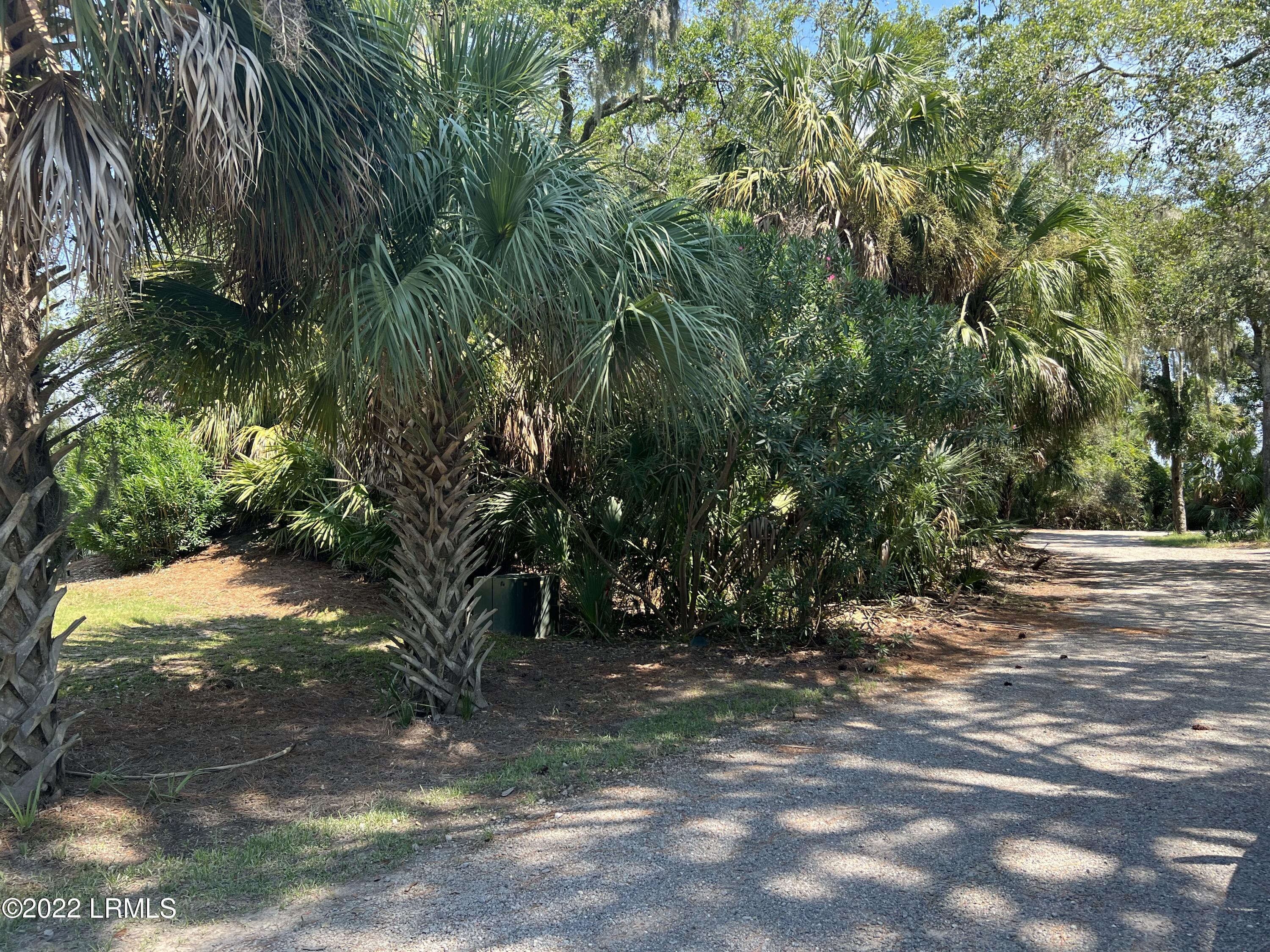 351 Blue Gill Road Fripp Island, SC 29920 - Photo 2 of 7 IMG_2790