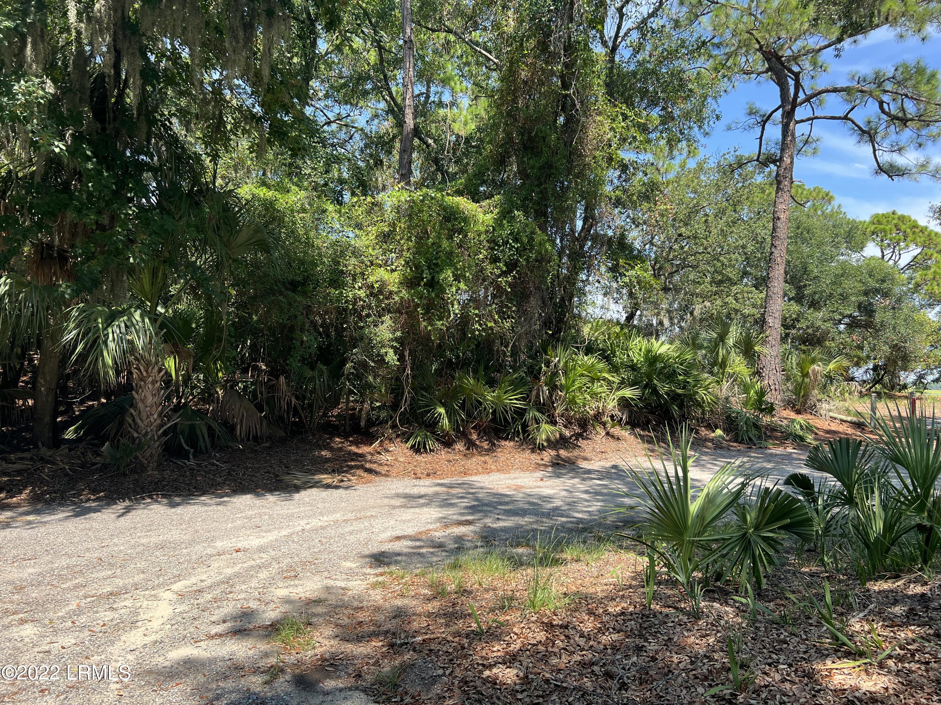 351 Blue Gill Road Fripp Island, SC 29920 - Photo 3 of 7 IMG_2795