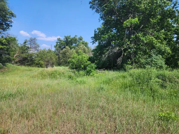 $10,000 | 0 Stitt Lane, Mio, MI 48647