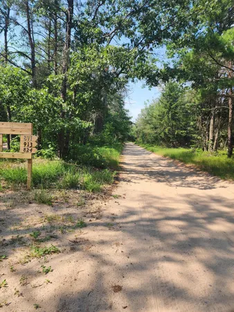 $10,000 | 0 Stitt Lane, Mio, MI 48647