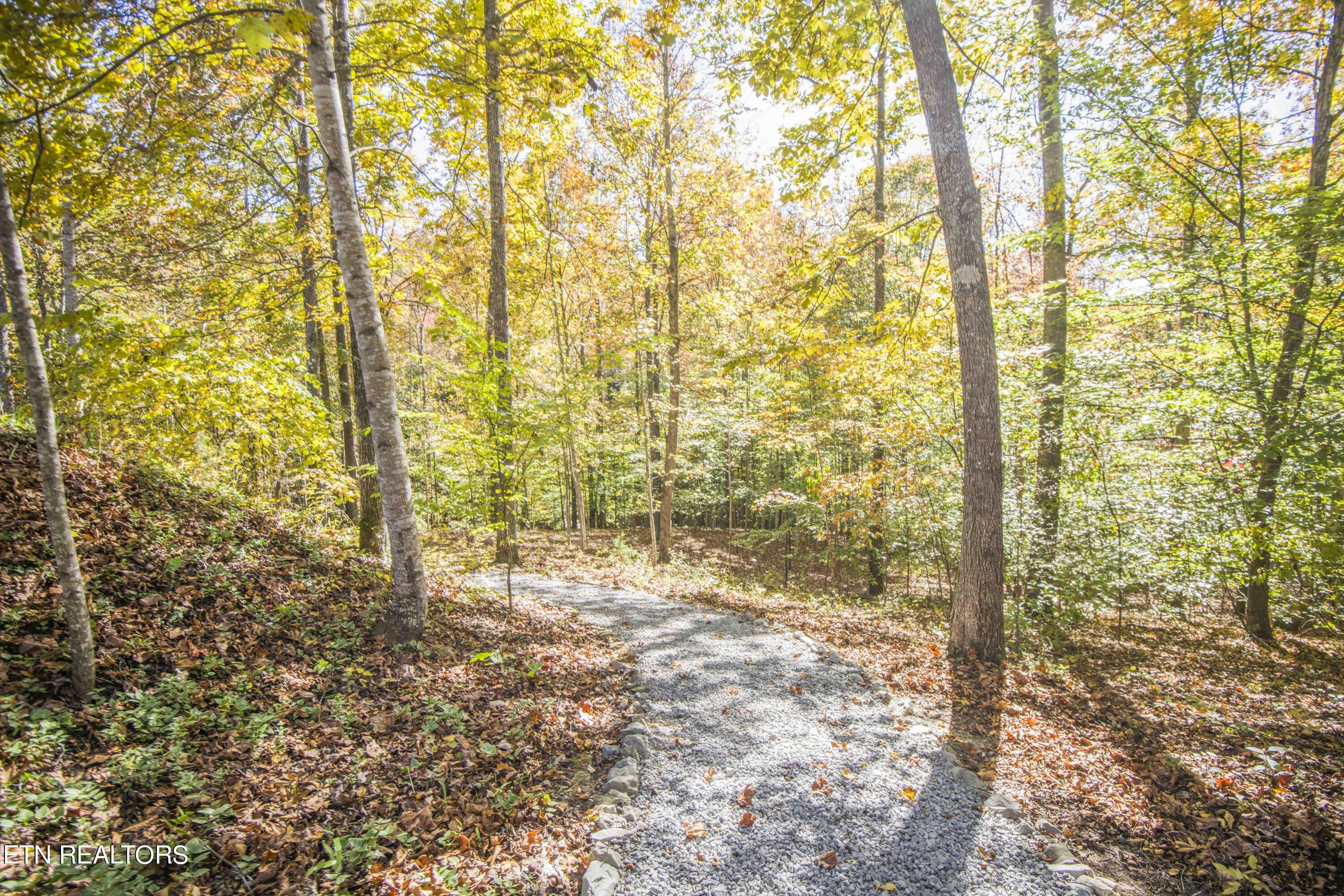 242 Bluff View Road New Tazewell, TN 37825 - Photo 56 of 57 yard 9_1