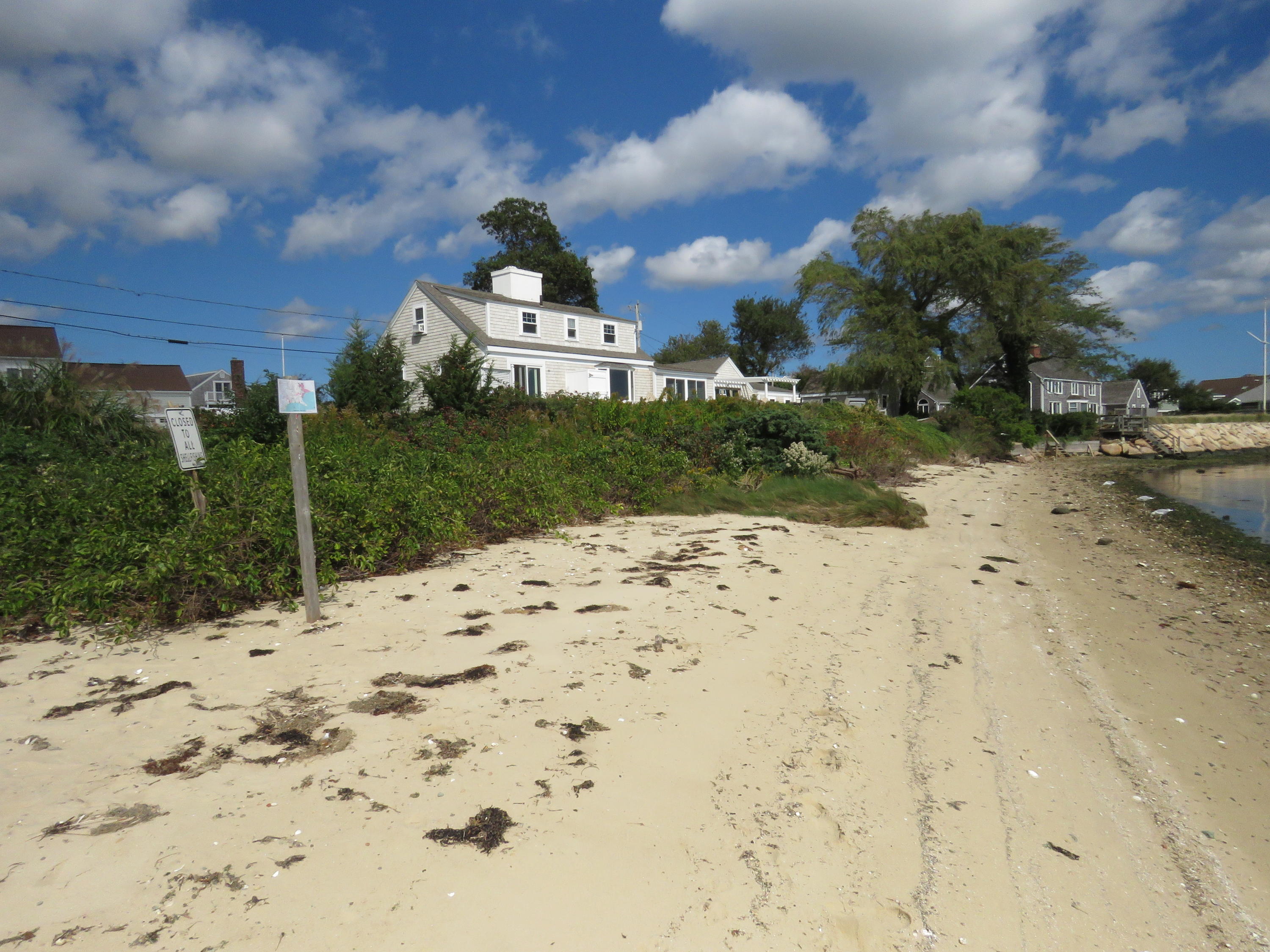 97 Harbor Bluff Road Hyannis, MA 02601 - Photo 13 of 33 a view of a dry yard with plants and large trees