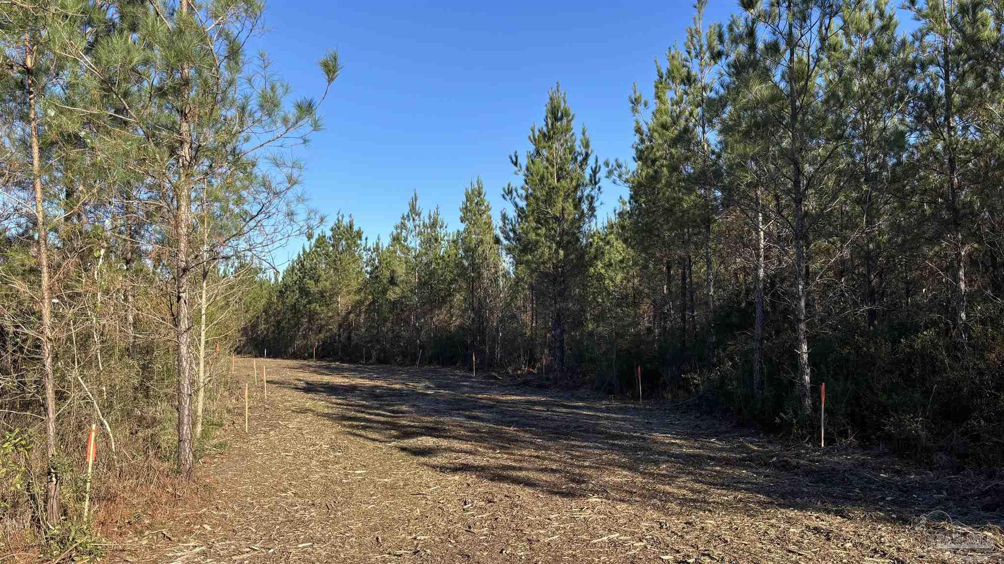 Lot 55 Straw Bridge Road Jay, FL 32565 - Photo 3 of 10