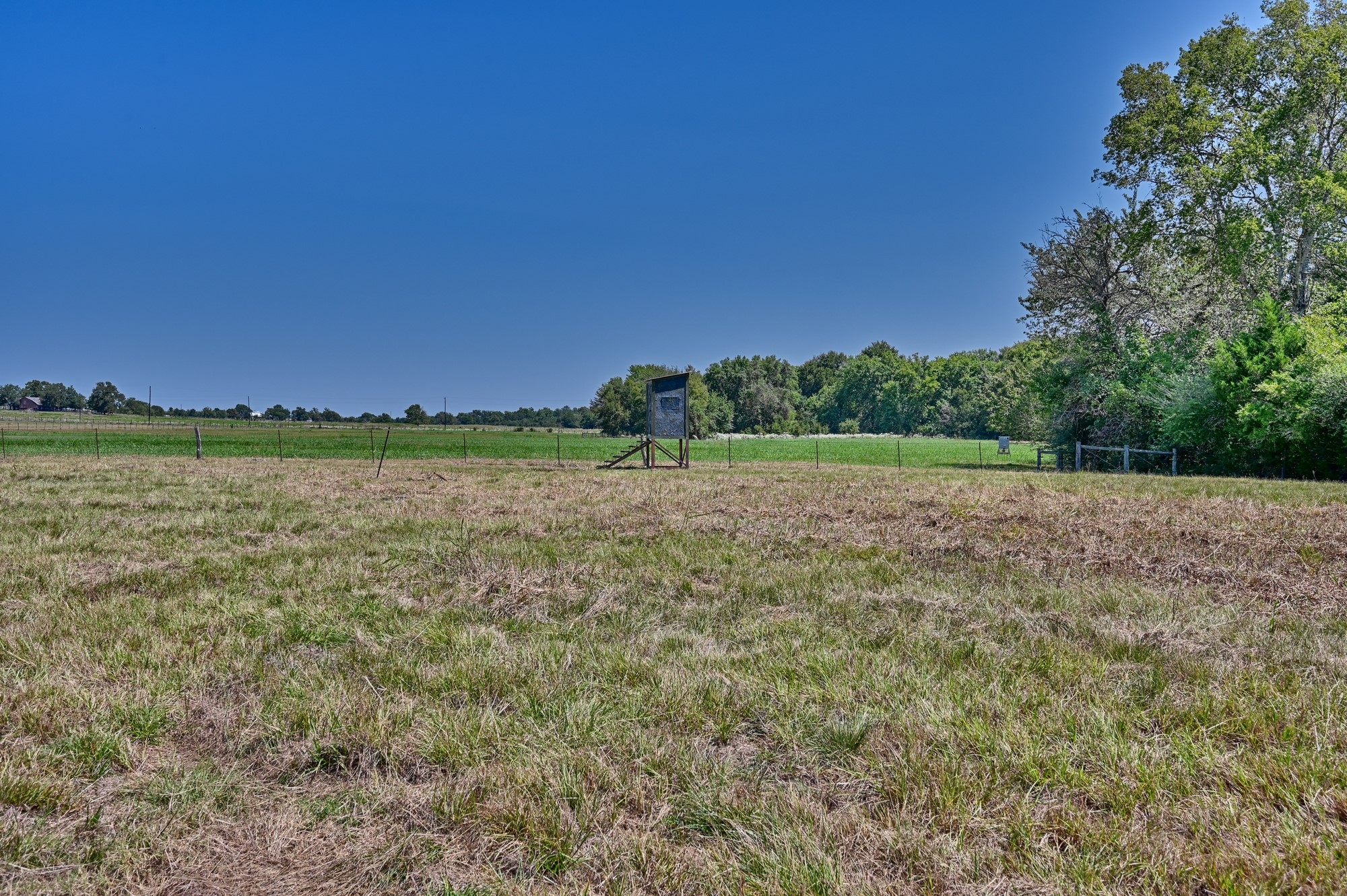 7940 Minarcik Road Fayetteville, TX 78940 - Photo 46 of 50