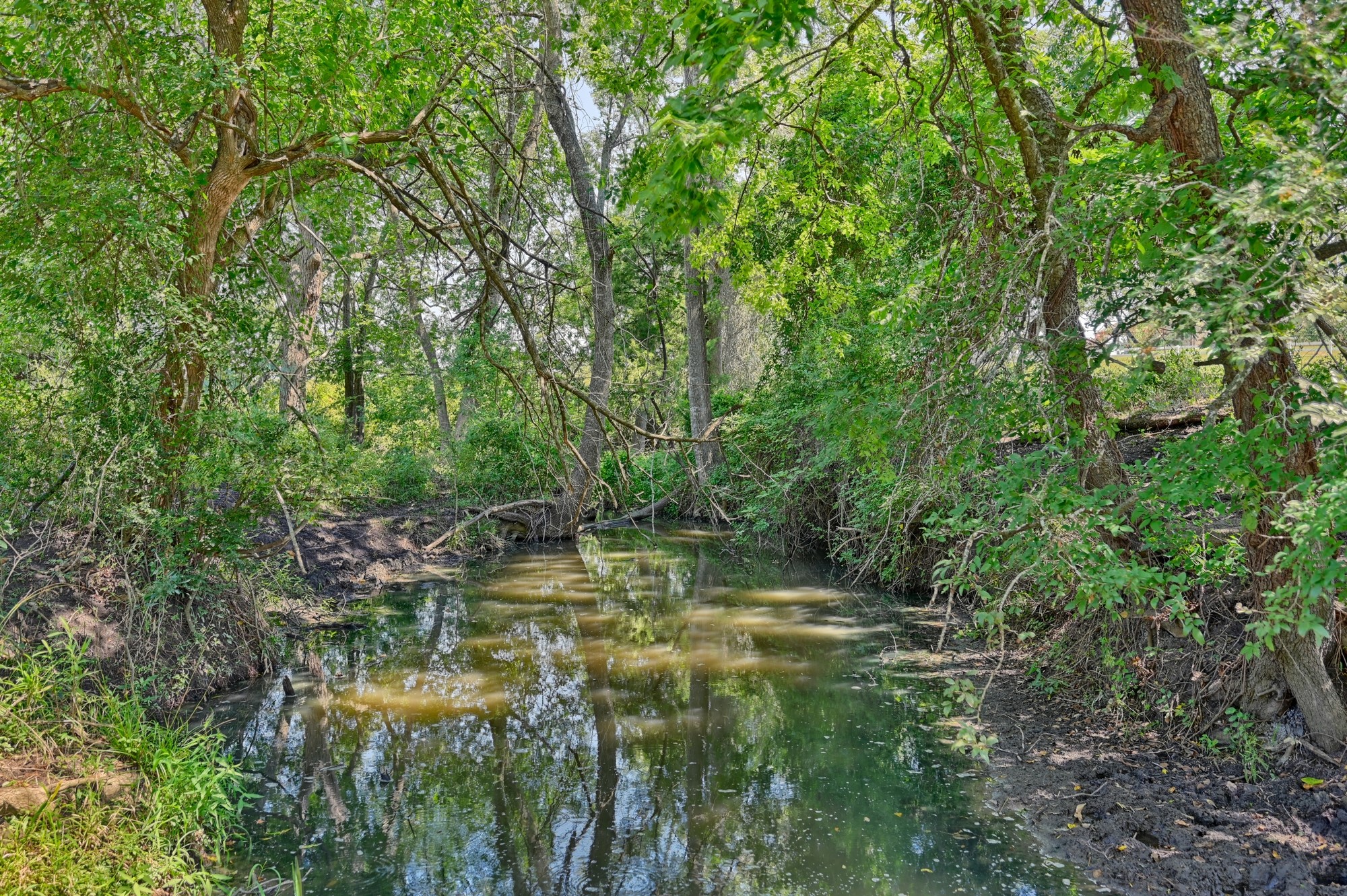 7940 Minarcik Road Fayetteville, TX 78940 - Photo 47 of 50