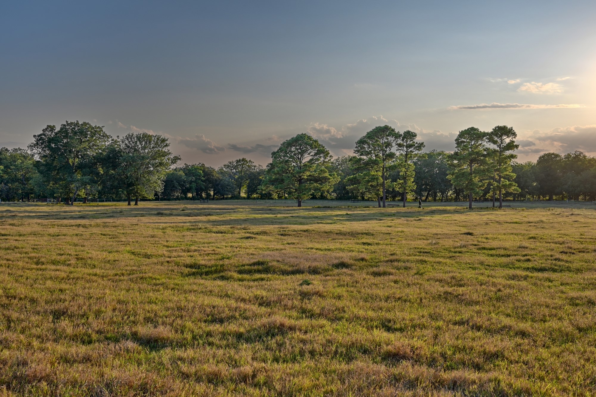 7940 Minarcik Road Fayetteville, TX 78940 - Photo 49 of 50
