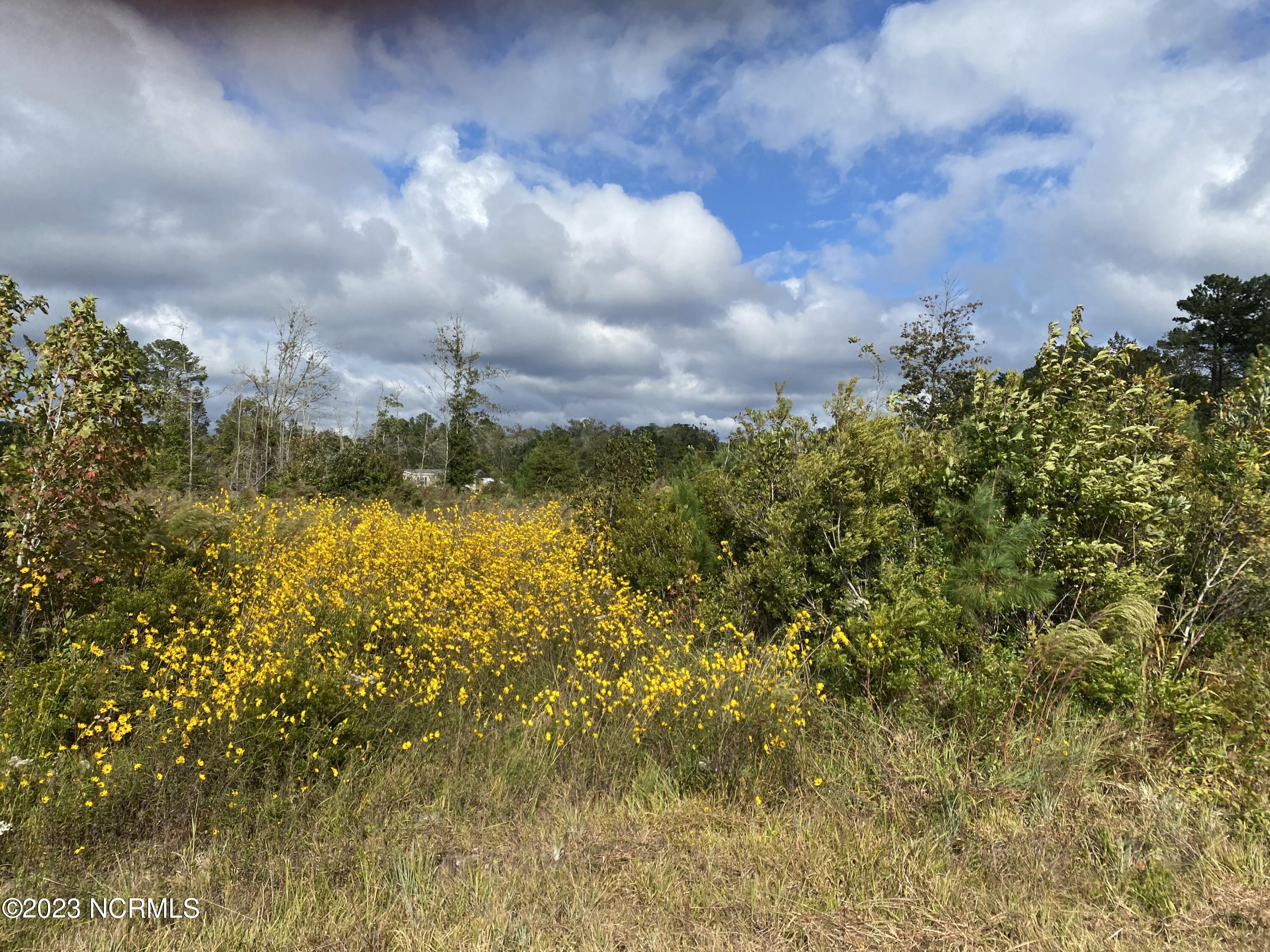 Tr-2 Exum Road Northwest Ash, NC 28420 - Photo 2 of 17 IMG_3201
