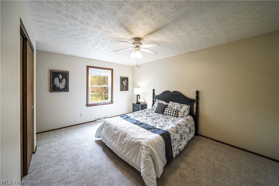 12464 Alpha Road Hiram, OH 44234 - Photo 9 of 33 Primary bedroom with fresh paint and brand-new carpet