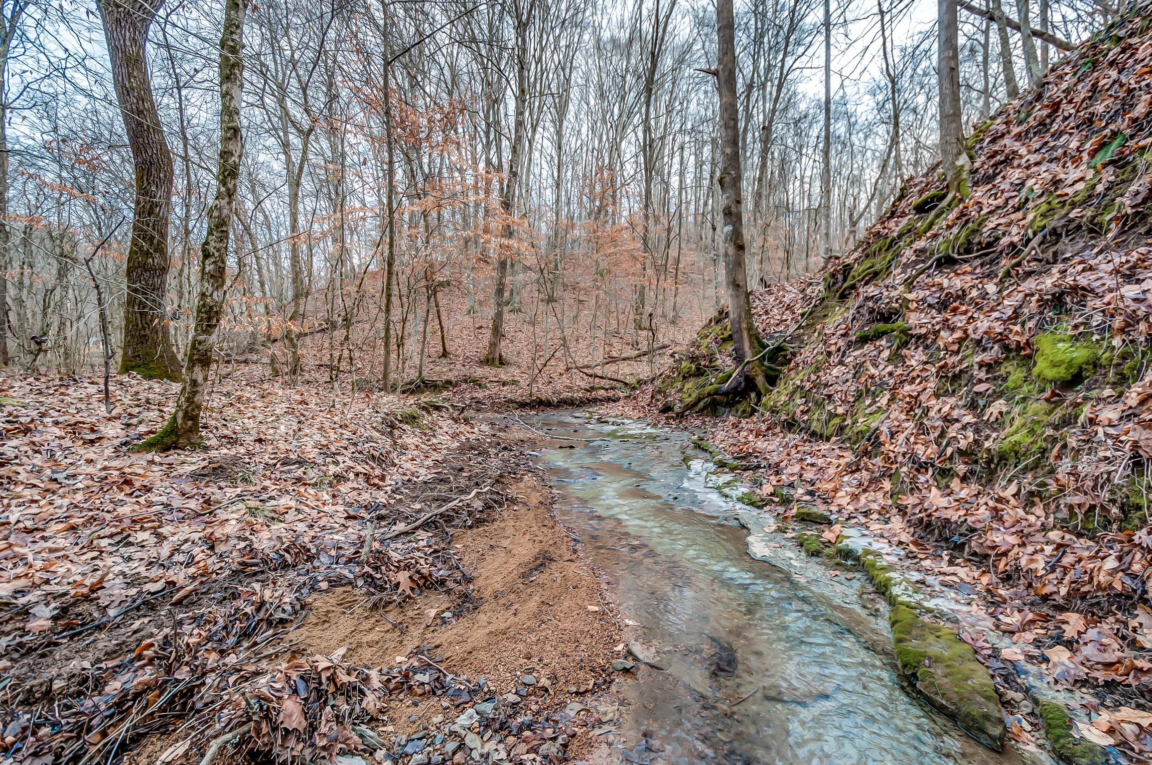 0 Fort Cooper Hollow Road Primm Springs, TN 38476 - Photo 2 of 24 Gallery Image 2