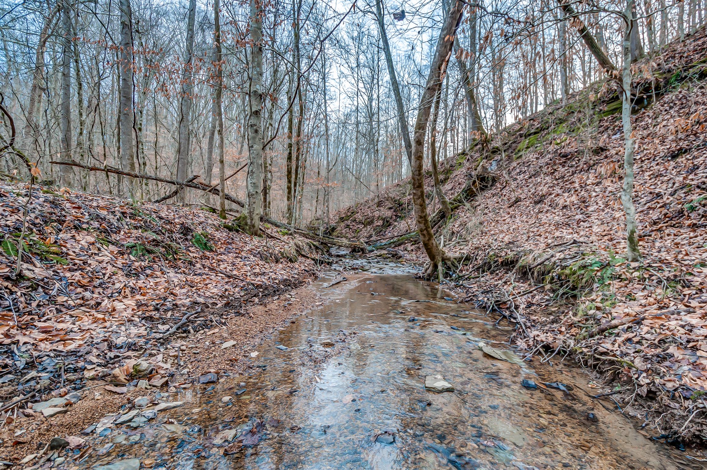 0 Fort Cooper Hollow Road Primm Springs, TN 38476 - Photo 21 of 24 Gallery Image 21